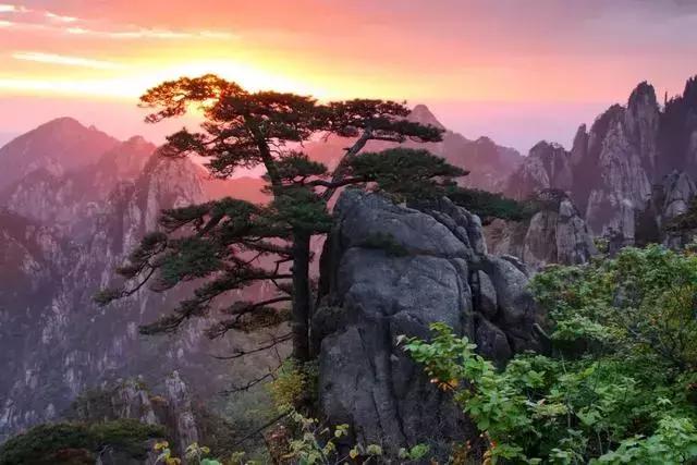 黄山市别称是什么，黄山市的简称是什么（看完你会更爱TA）