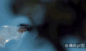 为什么射水鱼能喷水打中昆虫，水虫为什么能够浮在水面上（乐谈观赏鱼技能——射水鱼）