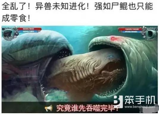 养鲲是什么梗，鲲鱼是鲸鱼吗（奇葩“养鲲”游戏）