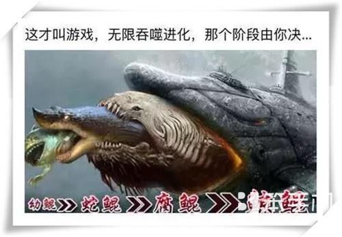养鲲是什么梗，鲲鱼是鲸鱼吗（奇葩“养鲲”游戏）