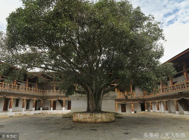 阴宅风水完美布局，阴宅风水完美布局图片（风水寻龙口诀点穴龙脉阴宅宝地难懂难会）