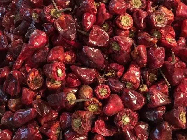 二荆条是不是很辣，二荆条是不是很辣妹子（哪种辣椒最辣、最香）