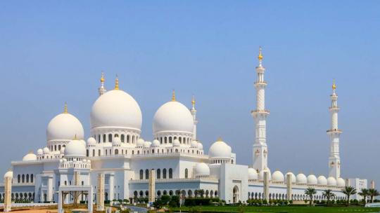 佳能5D2如何对焦，佳能5d2如何自动对焦（我的佳能单反使用心得）