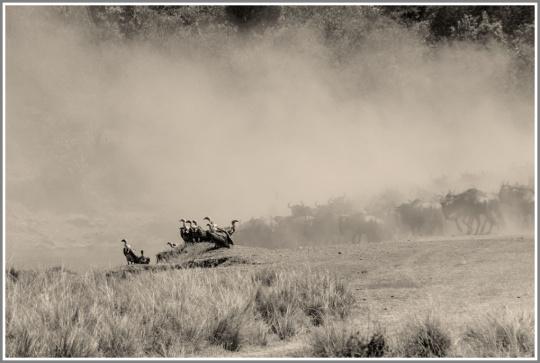 佳能5D2如何对焦，佳能5d2如何自动对焦（我的佳能单反使用心得）