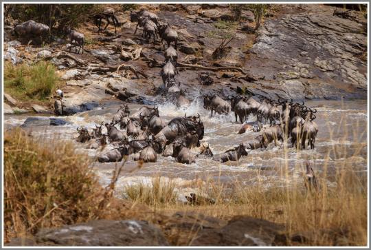 佳能5D2如何对焦，佳能5d2如何自动对焦（我的佳能单反使用心得）