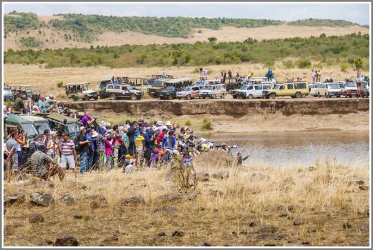 佳能5D2如何对焦，佳能5d2如何自动对焦（我的佳能单反使用心得）