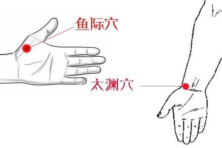 人体有多少个穴位，人有多少个穴位（这15个穴位尤其重要）