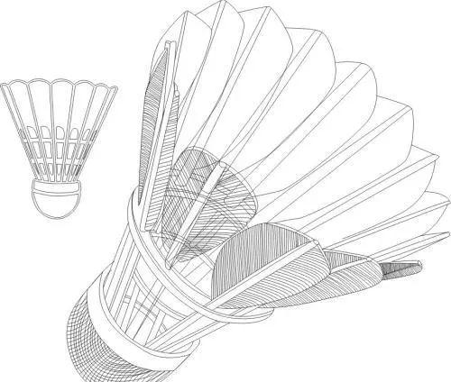 一只羽毛球需要多少根羽毛组成，标准羽毛球有几根羽毛组成