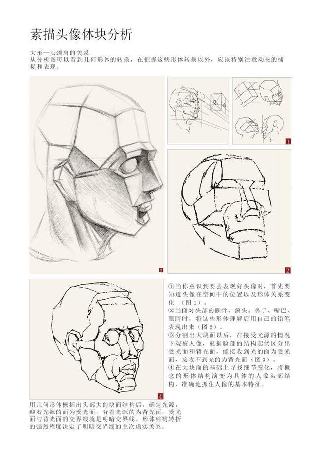 面部肌肉图解大全，常用面部肌肉图解（每个高考美术生都是医学界的潜力股~九张面部肌肉分析鉴赏）