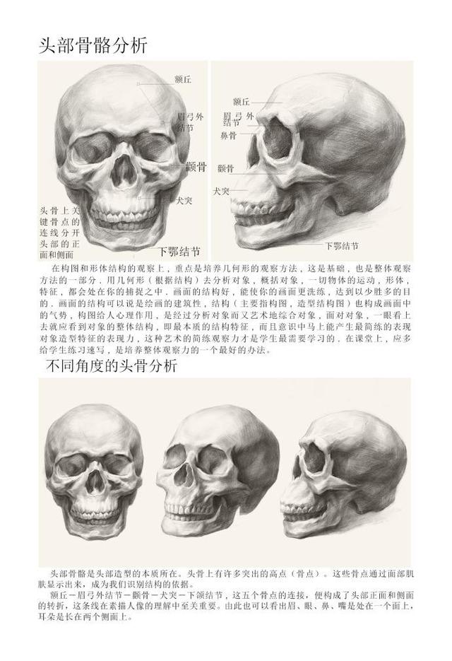 面部肌肉图解大全，常用面部肌肉图解（每个高考美术生都是医学界的潜力股~九张面部肌肉分析鉴赏）