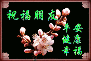 519代表爱情什么，519代表爱情什么意思（最美祝福送给你）