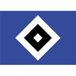 皇家马德里队徽，皇家马德里队徽图片球衣（那些是你熟悉的球队）