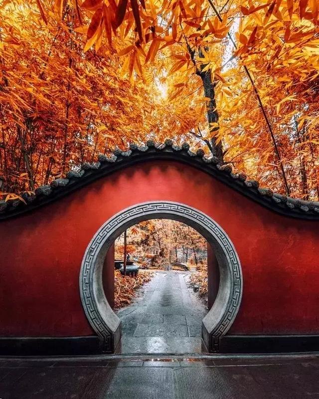 乱入池中看不见,乱入池中看不见的下一句作者是(看12首古诗如何说完一年四季) 乱入池中看不见,乱入池中看不见的下一句作者是(看12首古诗如何说完一年四季)