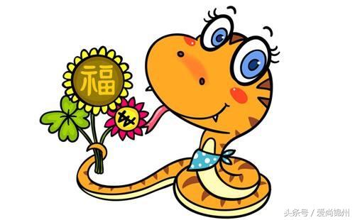 什么时候是蛇年，属蛇的是哪一年（属蛇的朋友不能错过）