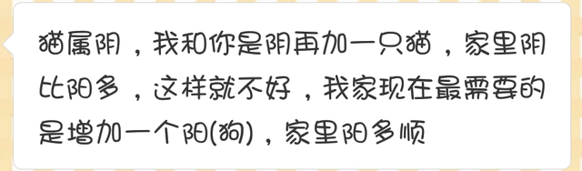 狸花猫在风水上的说法，风水看养什么样的猫旺财（有猫才是人生赢家啊）