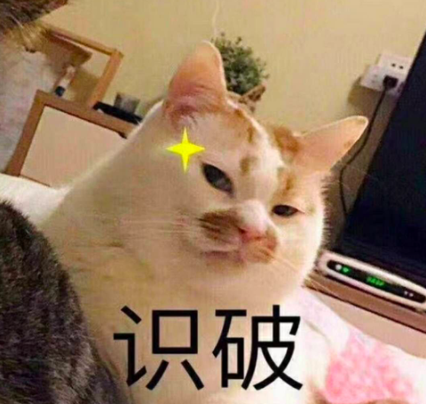 狸花猫在风水上的说法，风水看养什么样的猫旺财（有猫才是人生赢家啊）