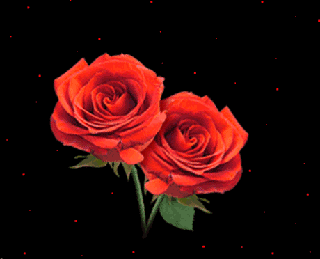 最浪漫的情人节礼物，情人节送女朋友什么礼物最浪漫（最浪漫的礼物送给你）