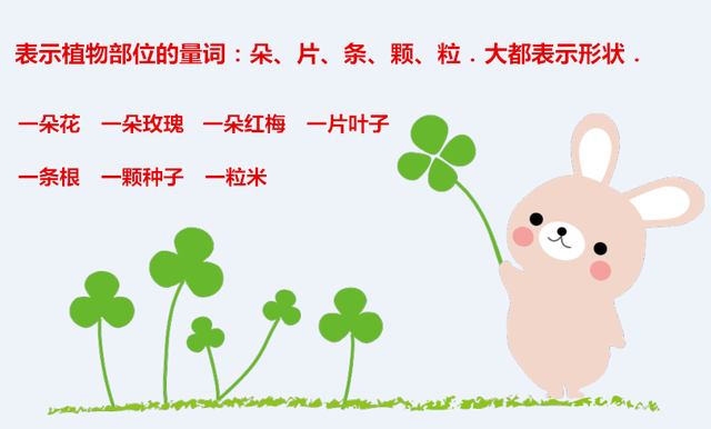 量词专业解释，什么是量词（以后不会在说一“个”老师）