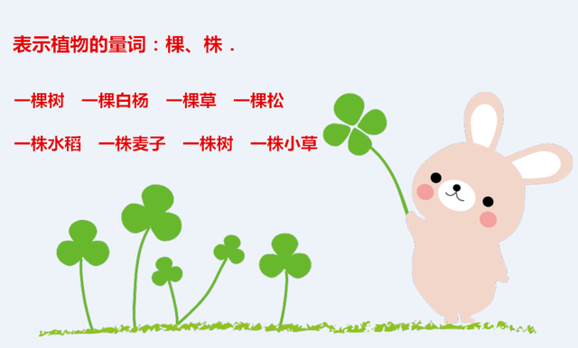 量词专业解释，什么是量词（以后不会在说一“个”老师）