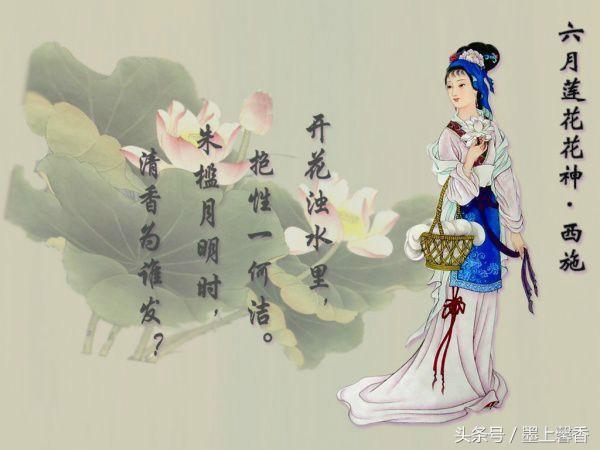 十二月花神都有哪些，古代十二月花神<太美了