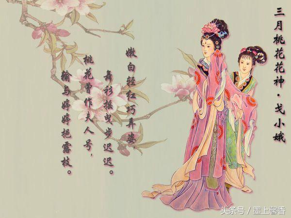 十二月花神都有哪些，古代十二月花神<太美了