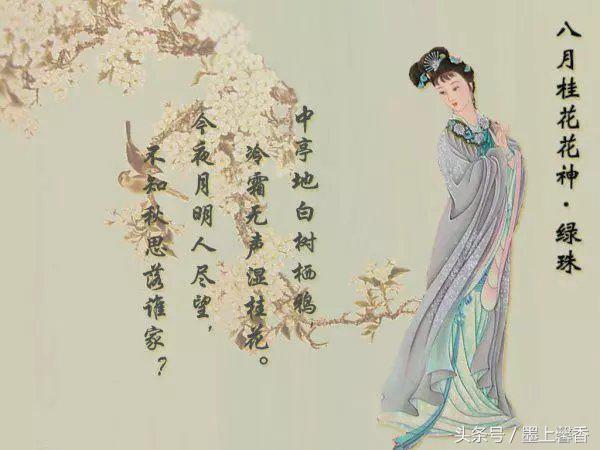 十二月花神都有哪些，古代十二月花神<太美了
