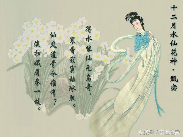十二月花神都有哪些，古代十二月花神<太美了