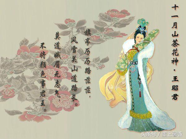 十二月花神都有哪些，古代十二月花神<太美了