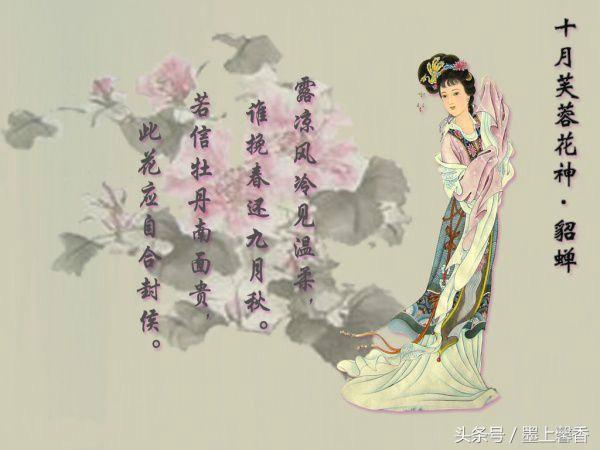 十二月花神都有哪些，古代十二月花神<太美了