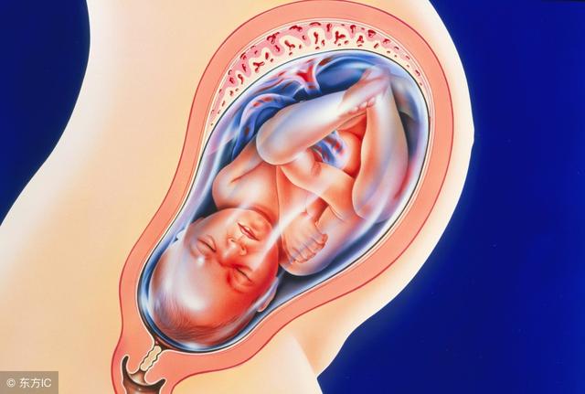 胎盘中药叫什么，人胎盘炖汤放什么药材（胎盘对人体有这些好处）