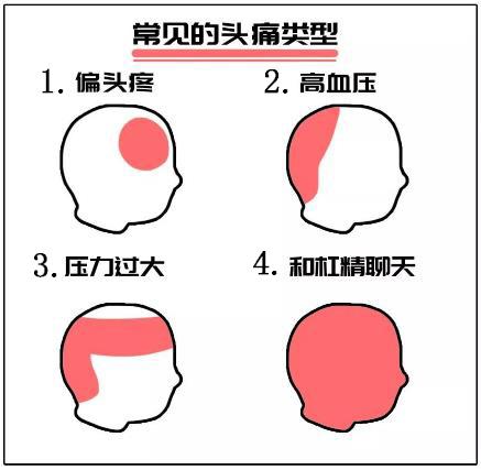 杠精是什么意思，杠精是什么意思抖音（学会这个远离杠精）