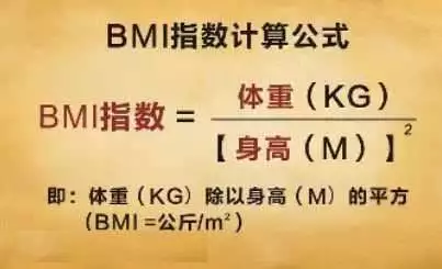 bmi和体脂率的区别，体脂率和BMI的区别在哪（4个超简单的方法，快自测）