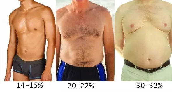 bmi和体脂率的区别，体脂率和BMI的区别在哪（4个超简单的方法，快自测）