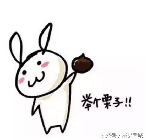 成都站在哪个区，重庆高铁站在哪个区（成都地铁站和成都各车站线路攻略指南）