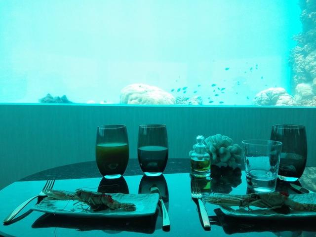 TG4组合的疑问，TG4成员现在怎么啦（锡婚纪念南京一家3口在马尔代夫奥臻岛OZEN欢度的幸福假期）