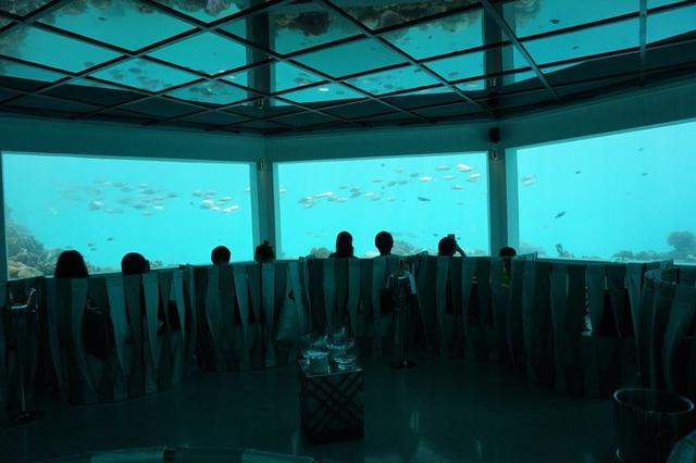 TG4组合的疑问，TG4成员现在怎么啦（锡婚纪念南京一家3口在马尔代夫奥臻岛OZEN欢度的幸福假期）