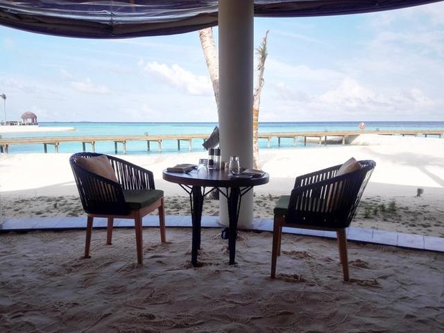 TG4组合的疑问，TG4成员现在怎么啦（锡婚纪念南京一家3口在马尔代夫奥臻岛OZEN欢度的幸福假期）