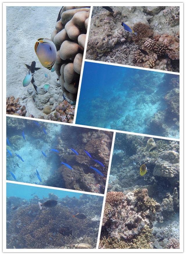 TG4组合的疑问，TG4成员现在怎么啦（锡婚纪念南京一家3口在马尔代夫奥臻岛OZEN欢度的幸福假期）