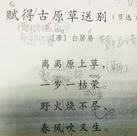 幼儿古诗启蒙1-3岁必学，为什么要选这28首必背古诗词