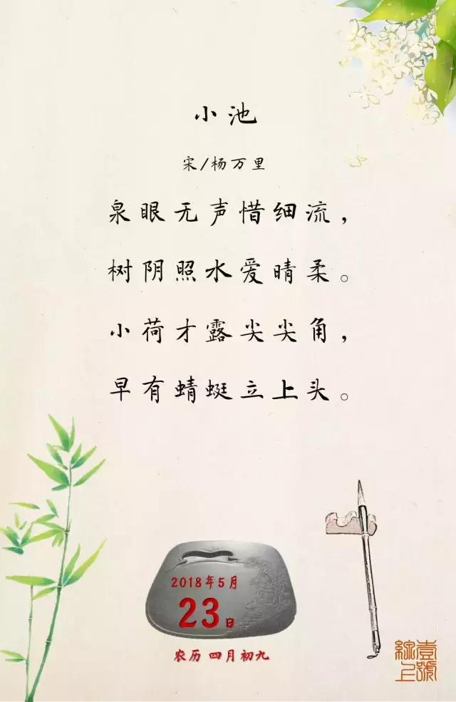 蜻蜓造句子一年级,蜻蜓造句四年级(每日一诗:小荷才露尖尖角) 蜻蜓造句子一年级,蜻蜓造句四年级(每日一诗:小荷才露尖尖角)