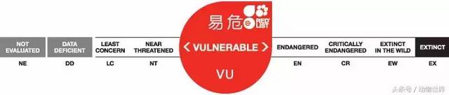 海龟的特点是什么,海龟的特点是什么爱吃什么(海龟-古老的爬行动物) 海龟的特点是什么,海龟的特点是什么爱吃什么(海龟-古老的爬行动物)