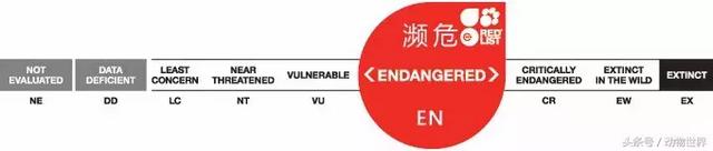 海龟的特点是什么,海龟的特点是什么爱吃什么(海龟-古老的爬行动物) 海龟的特点是什么,海龟的特点是什么爱吃什么(海龟-古老的爬行动物)