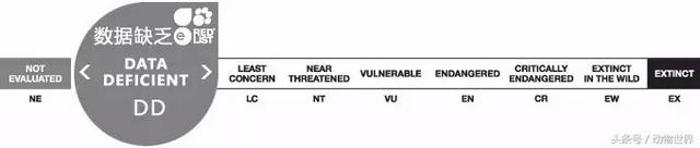海龟的特点是什么,海龟的特点是什么爱吃什么(海龟-古老的爬行动物) 海龟的特点是什么,海龟的特点是什么爱吃什么(海龟-古老的爬行动物)
