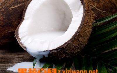 椰子汁的功效与作用，椰子汁的功效与作用 八类人不宜饮用（椰子汁的功效和作用）