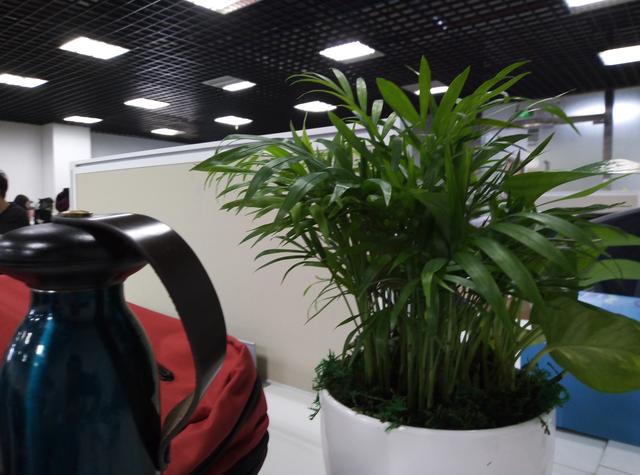 华为荣耀7怎么样，华为荣耀7怎么样值得买吗（最值得入手的入门机）