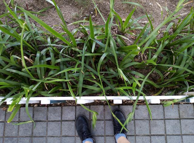 华为荣耀7怎么样，华为荣耀7怎么样值得买吗（最值得入手的入门机）