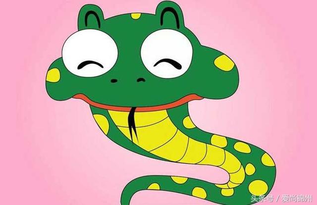 什么时候是蛇年，属蛇的是哪一年（属蛇的朋友不能错过）