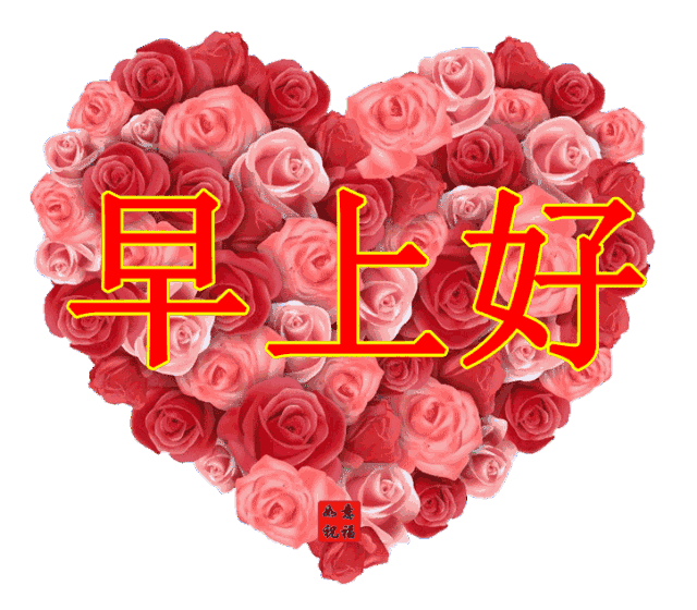 玫瑰花浪漫寄语，玫瑰花卡片浪漫留言（送你8颗玫瑰心）