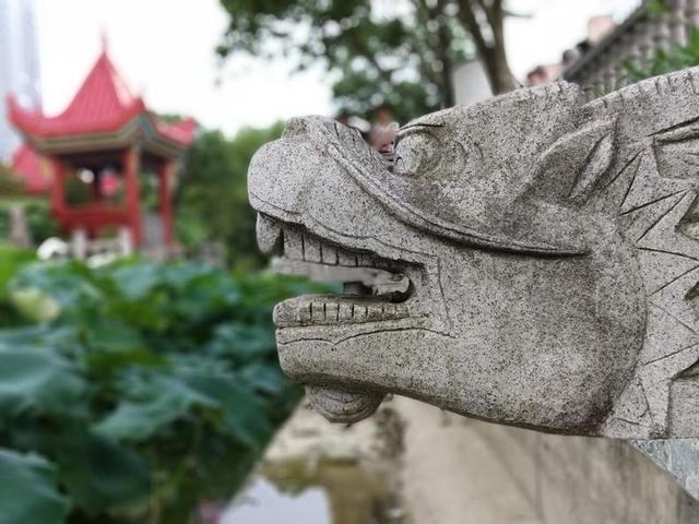 红米S2上手体验，这真的是千元机吗（看999元的颜值机拍照表现怎么样）