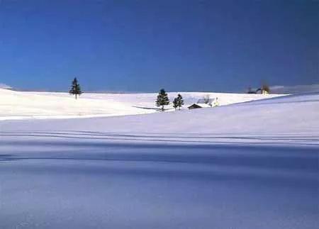 舅老爷和舅姥爷的区别（我的家在东北<十一>）